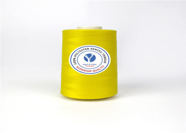 Porcellana 40/2 di campione libero del poliestere del filato cucirino dell'abbigliamento offerto con i colori selezionati fornitore