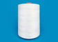 Filo di chiusura di cucito luminoso 100% ad alta resistenza 20s/6 bianco 20s/9 del poliestere della borsa del filato fornitore