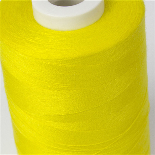 40/2 di campione libero del poliestere del filato cucirino dell'abbigliamento offerto con i colori selezionati